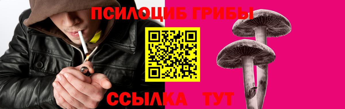 Псилоцибиновые грибы прущие грибы  Вход с VPN  Краснокаменск 